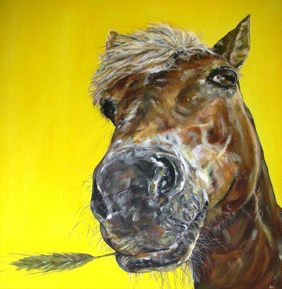 'Nibblin' Nag' Horse painting