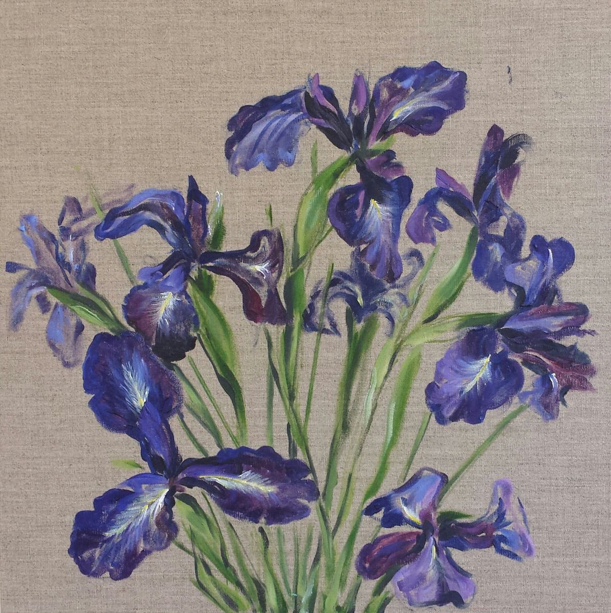 Irises by Margo de Jong