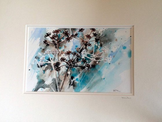 COW PARSLEY 11