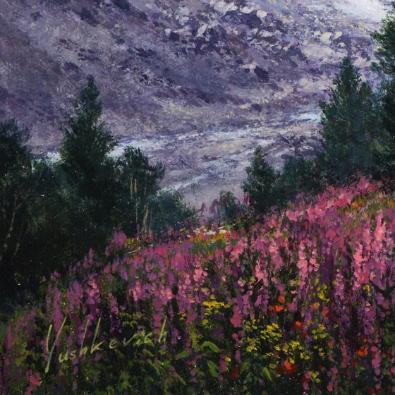 Where the mountains bloom
