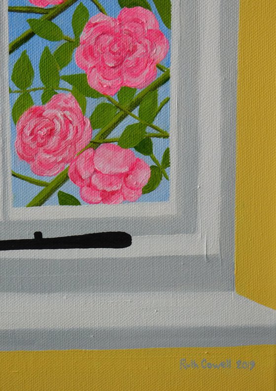 Pink Irish Rose at the Window