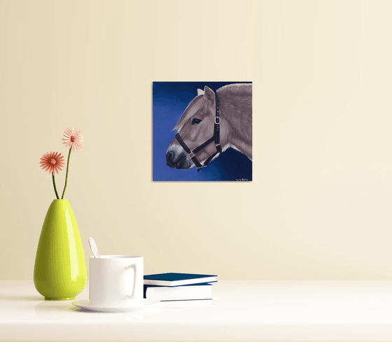 Horse portrait 93