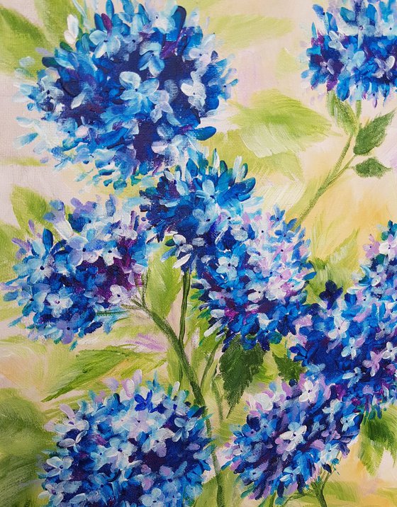 "Blue hydrangeas"