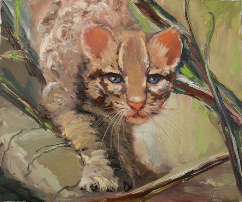 Young ocelot  / Original Oil Painting by Salana Art Gallery
