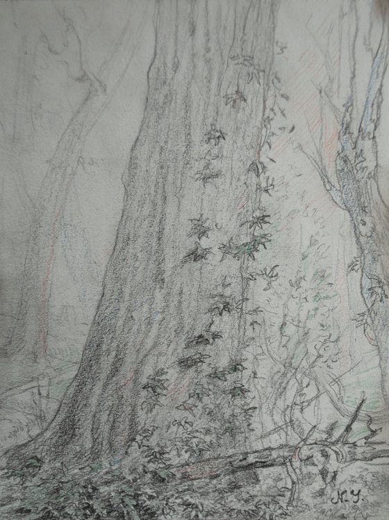 Great Tree Study I