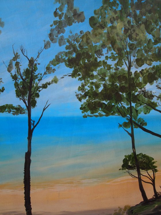 Beach Trees 10
