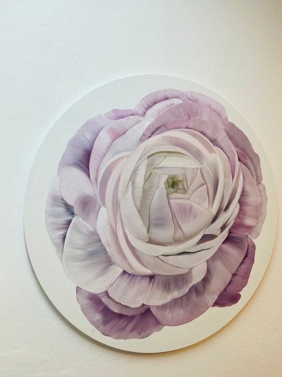 Petals of Light spring flowers blossoms peony