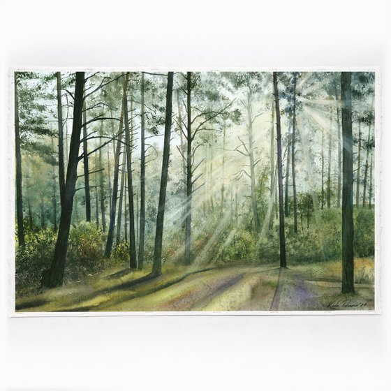 In the forest, 55x37 cm