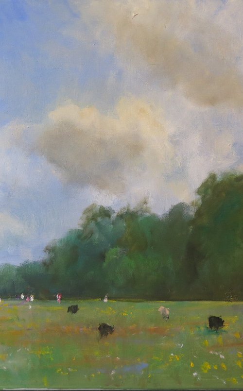 Midsummer Meadow by Malcolm Ludvigsen