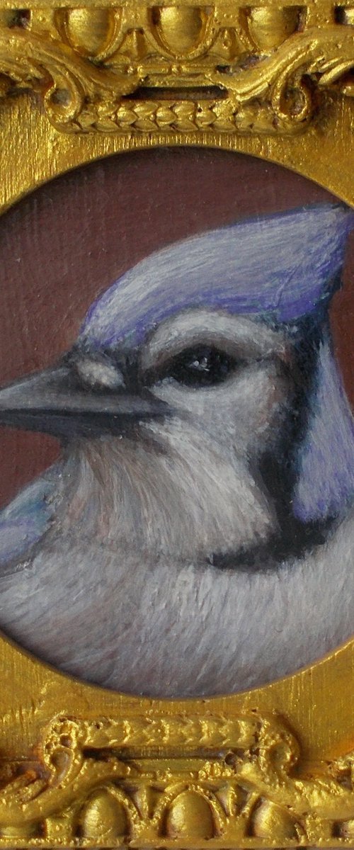 Blue Jay bird painting framed by Tatyana Mironova