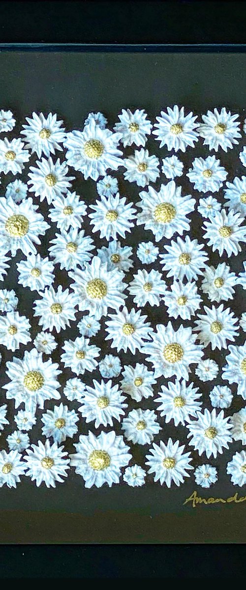 Fresh as a daisy (on black) by Amanda Deadman