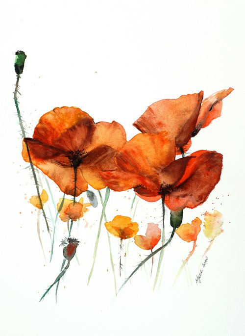 Red Poppy Flowers - ORIGINAL Watercolor Painting by Yana Shvets