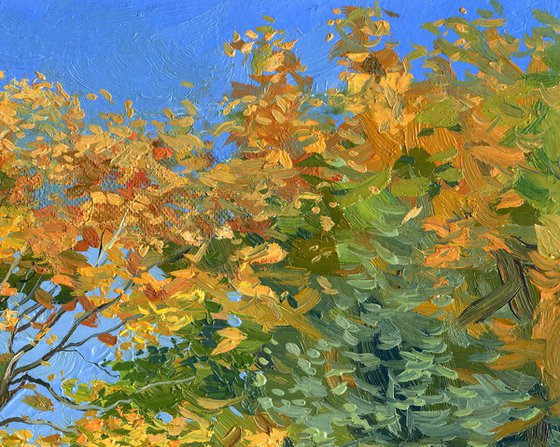Autumn leaves