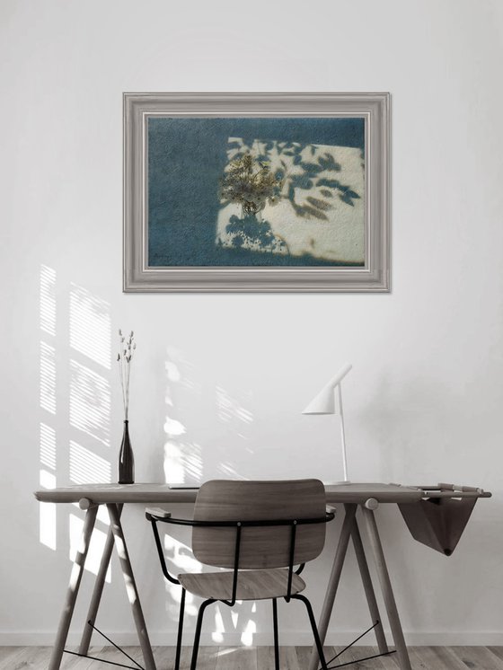 Sunny Morning and a Bouquet of Daisies