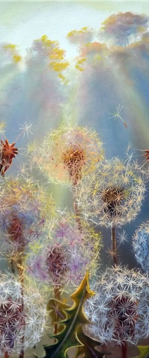 Dandelions by Oleg Riabchuk