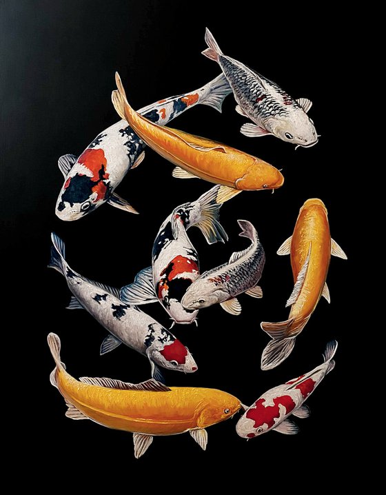 9 nine Koi Fish