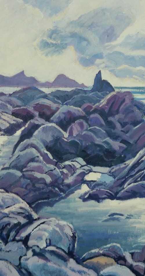 Rockpools at Welcombe Mouth by Bert Bruins