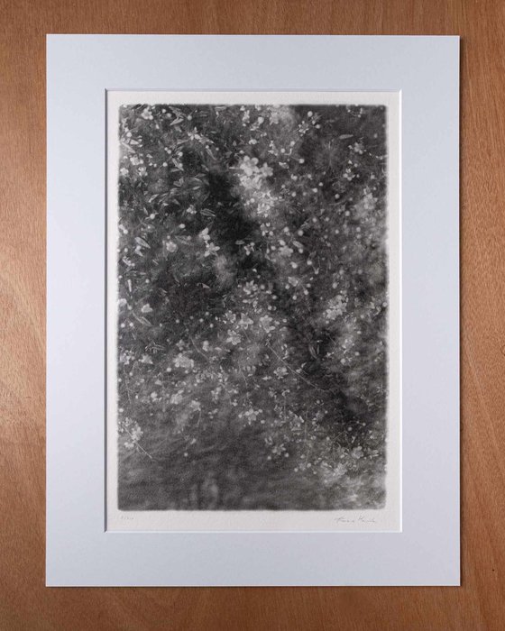 Folium 9 | Handmade Print