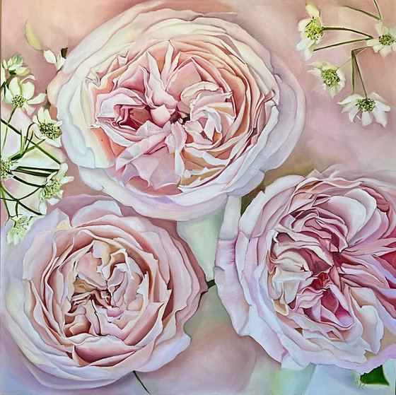 Soft Pink Roses