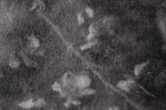 Folium 9 | Handmade Print