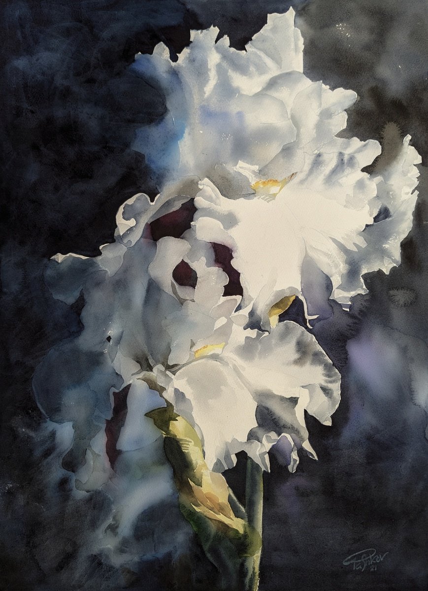 Impressionistic Botanical Watercolour By Yurii Pashkov, 22 X 30", White Irises #4, Original Artwork