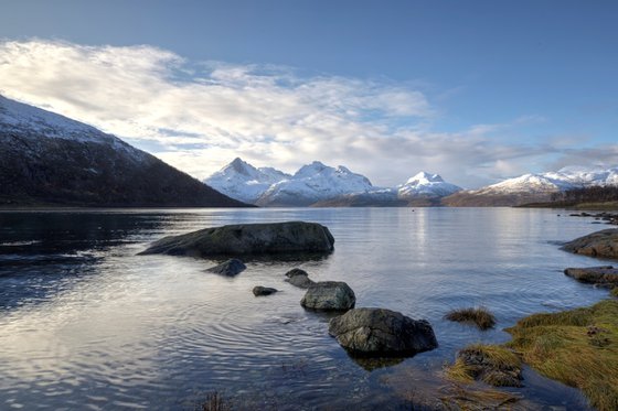 Lyffjord