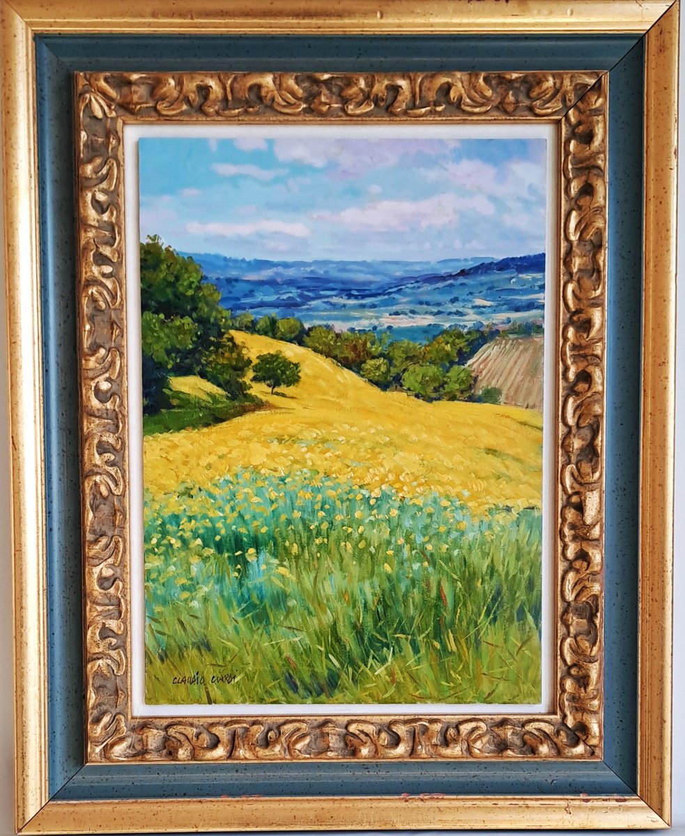 Impressionistic Botanical Oil Painting By Claudio Ciardi, 15 X 19, Rapeseed Field In Tuscany, Original Artwork