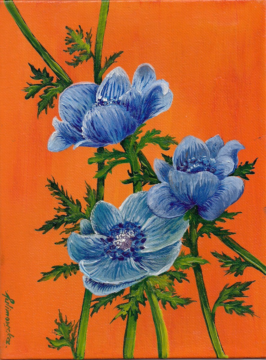 Blue Anemones by Maja Tulimowska - Chmielewska