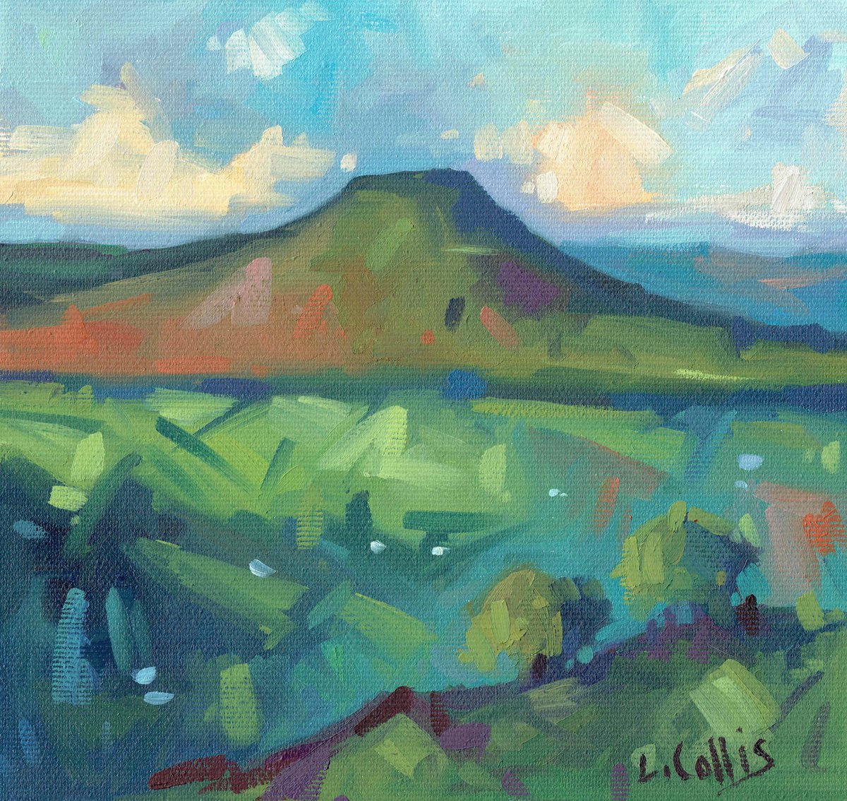 Sugarloaf Summer Evening by Louise Collis