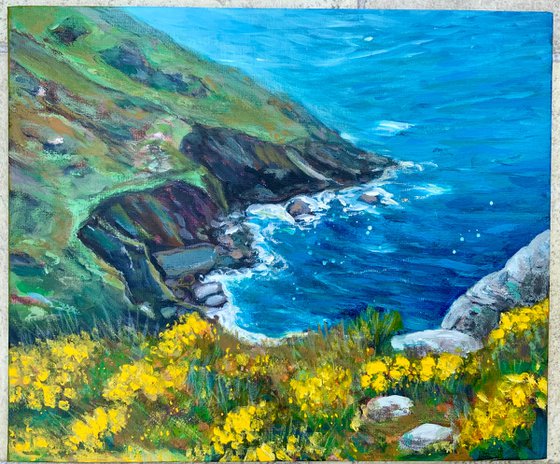 Cornish Cove