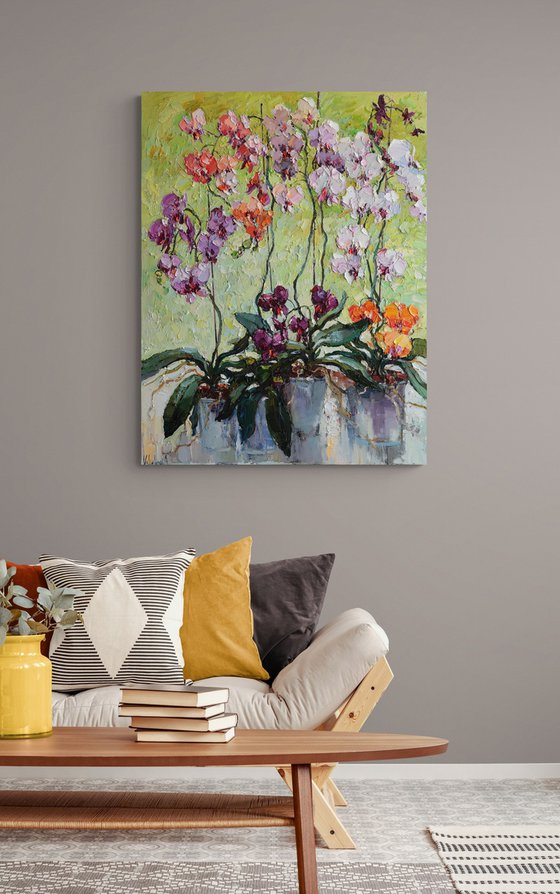Colorful Orchids