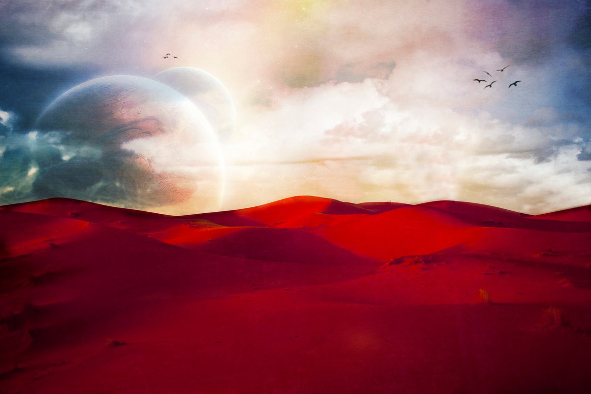 Impressionistic Botanical Photograph By Viet Ha Tran, 28 X 20", Sunset On The Sahara Iii, Original Artwork