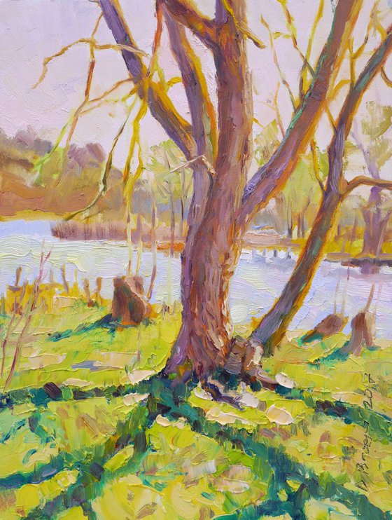 Plein air 03-04-2017 (sunny day)