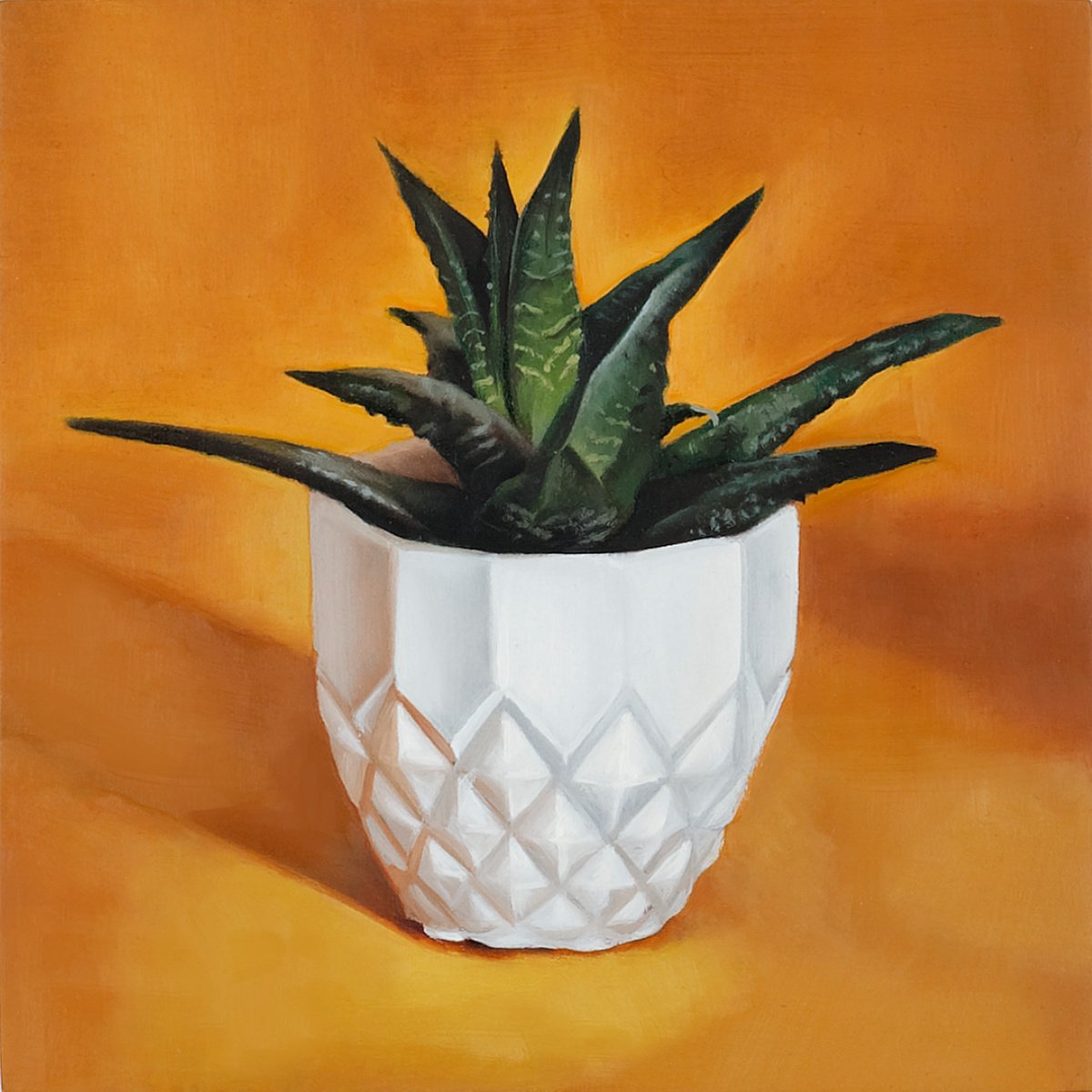 Small Succulent on Orange Background by Louis Savage