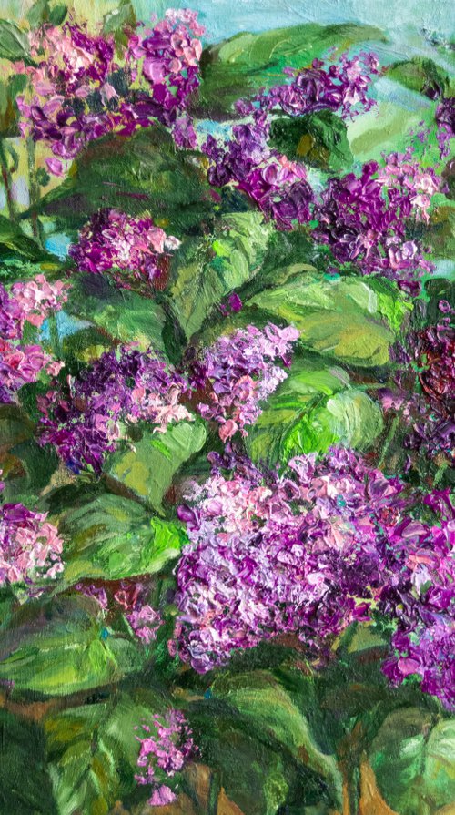 Lilac in my garden by Galyna Shevchencko