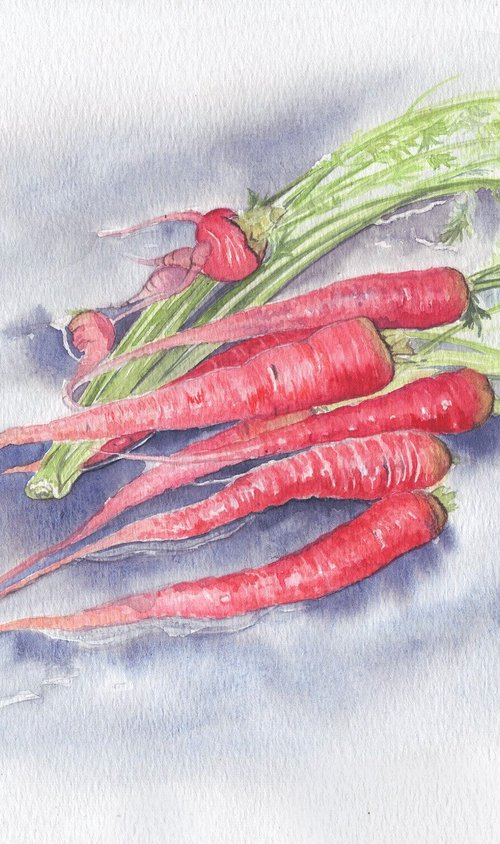Red carrots by Shweta  Mahajan