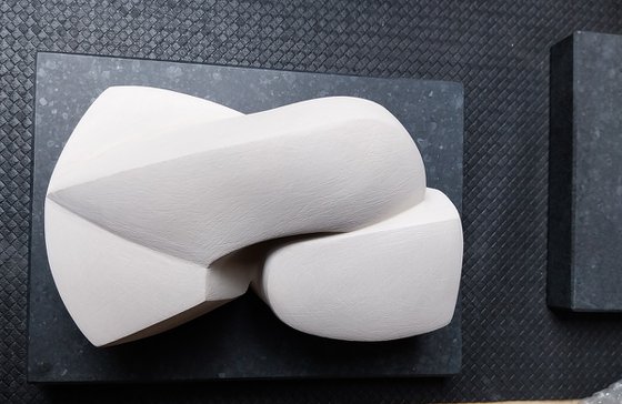 Bird feeding her young.