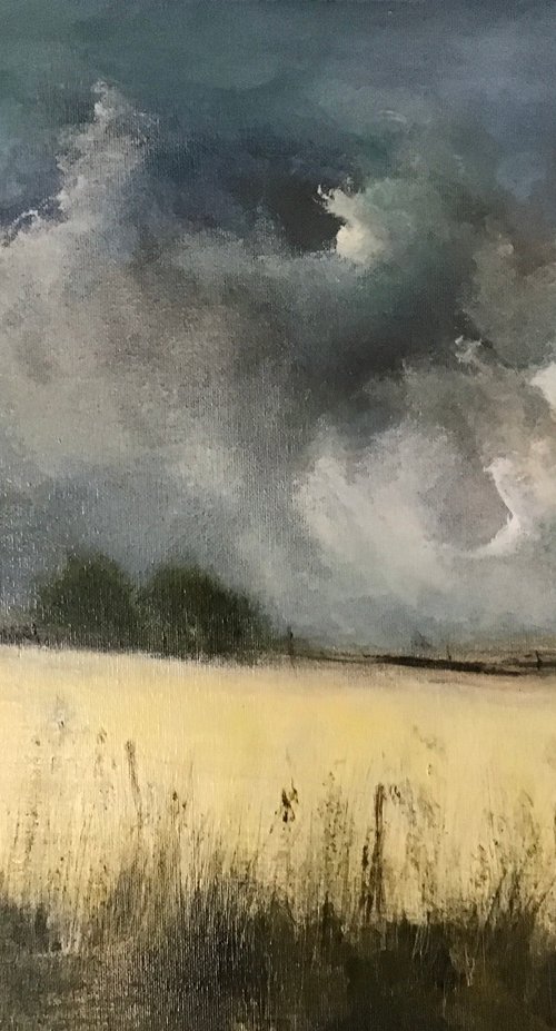 IN A IRISH MEADOW by Maxine Anne Martin