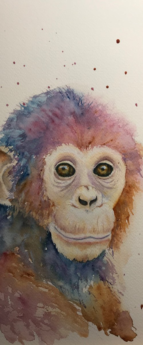 Baby Chimp by Sabrina’s Art