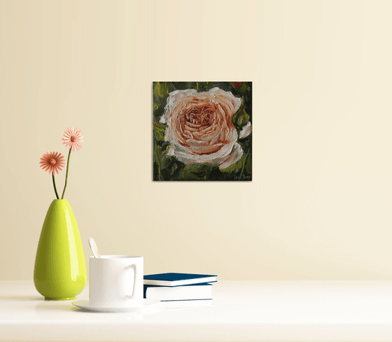 Cream rose original oil painting mini still life 6x6''