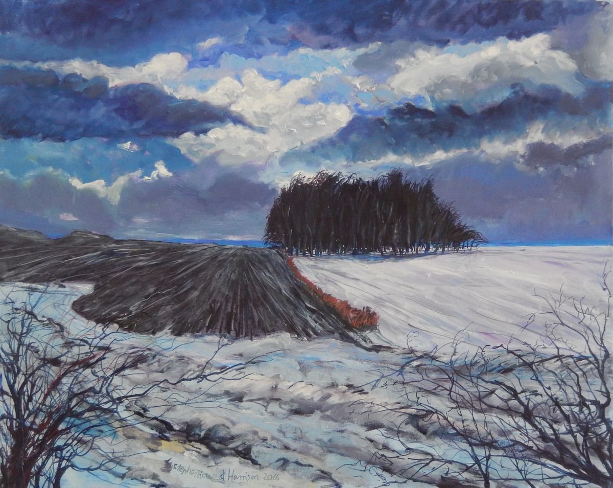 Impressionistic Landscape Oil Painting By Stephen Howard Harrison, 28 X 24", Landscape In Fife, Scotland, Original Artwork