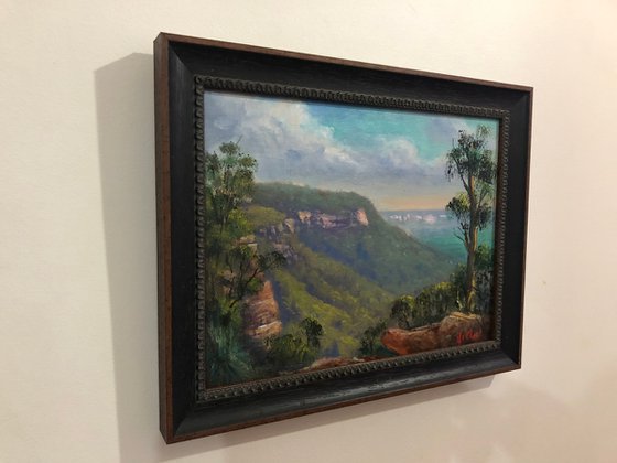 Mitchell Lookout View