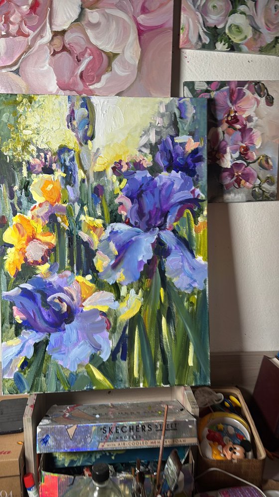 Beautiful irises are blooming in the garden
