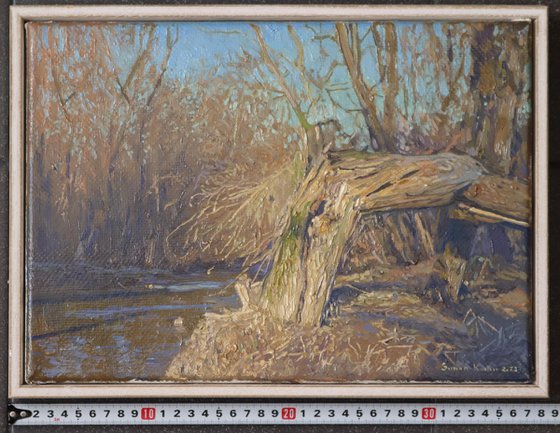 A broken tree near the Likhoborka River