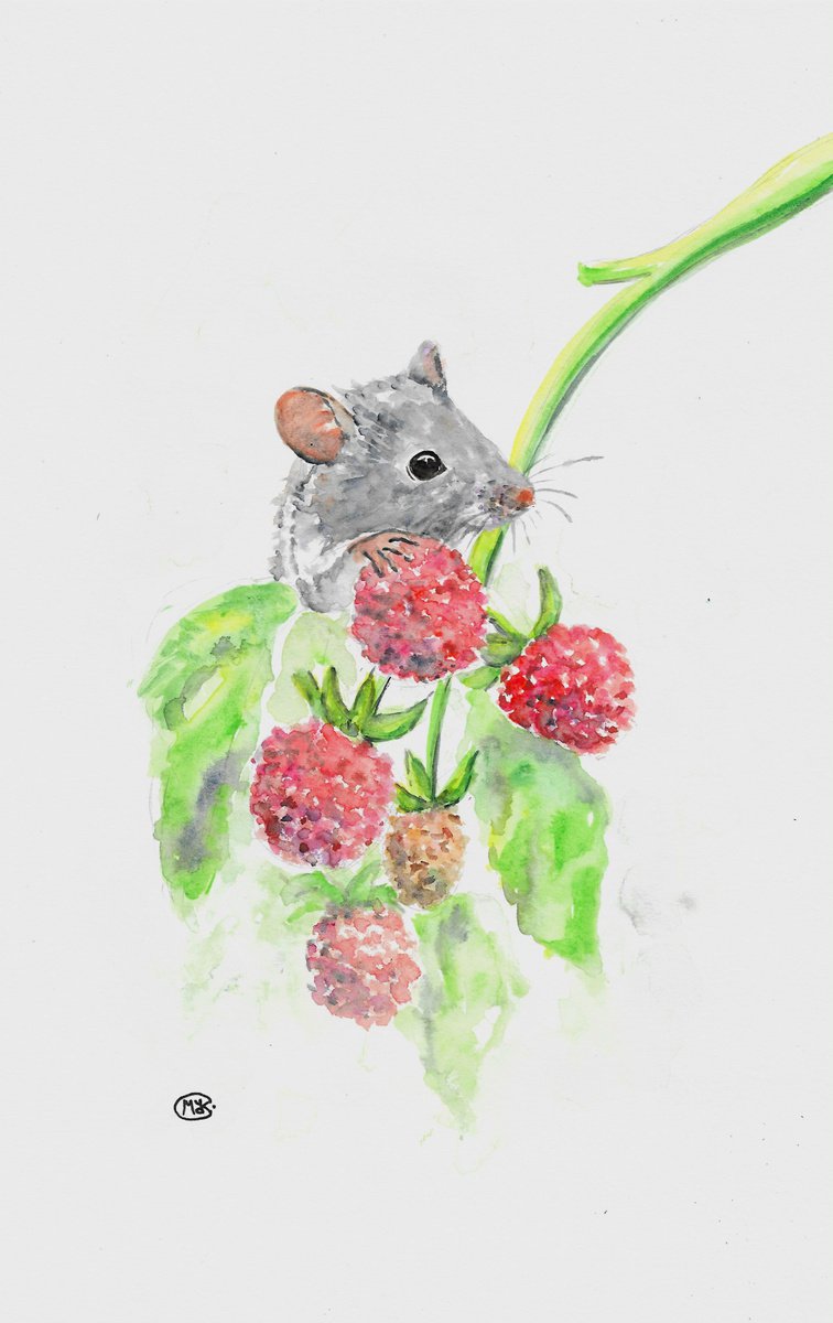 Little cute field mouse on a raspberry cane, painting by MARJANSART