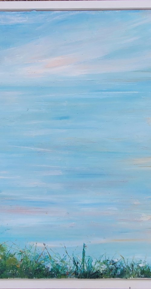 A Soft Dawn by Niki Purcell