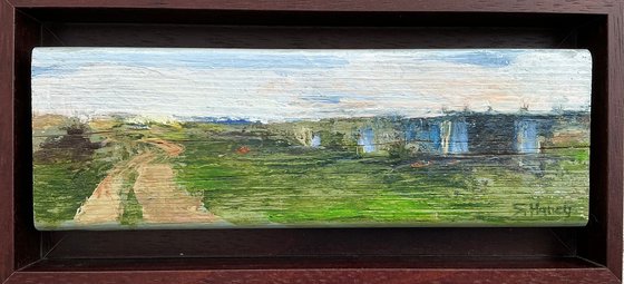 Allotment Landscape