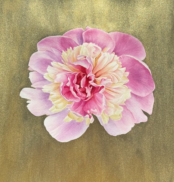Pink peony on a gold background Painting