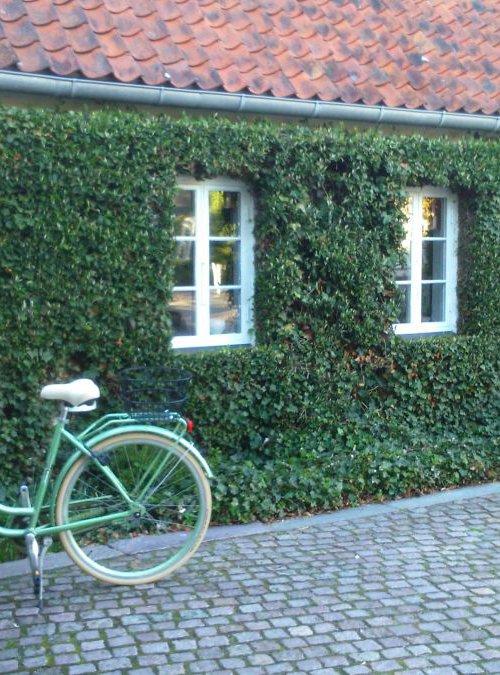 GREEN HOUSE IN DENMARK by Hana Auerova