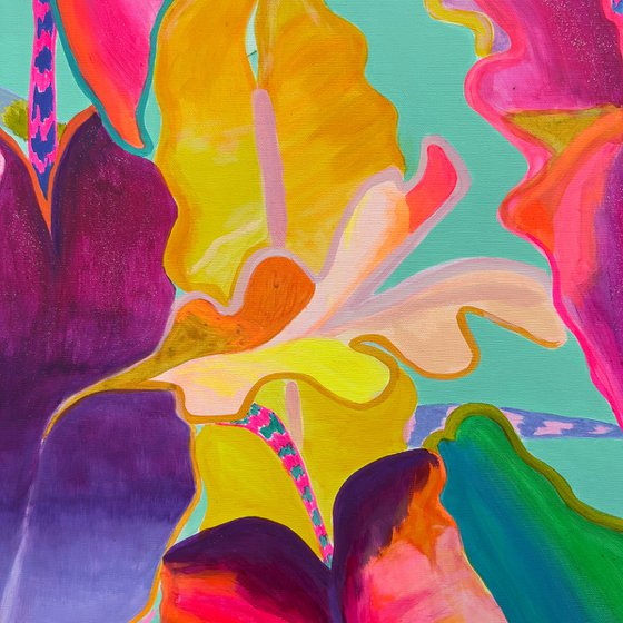 'Rainbow Alocasia'